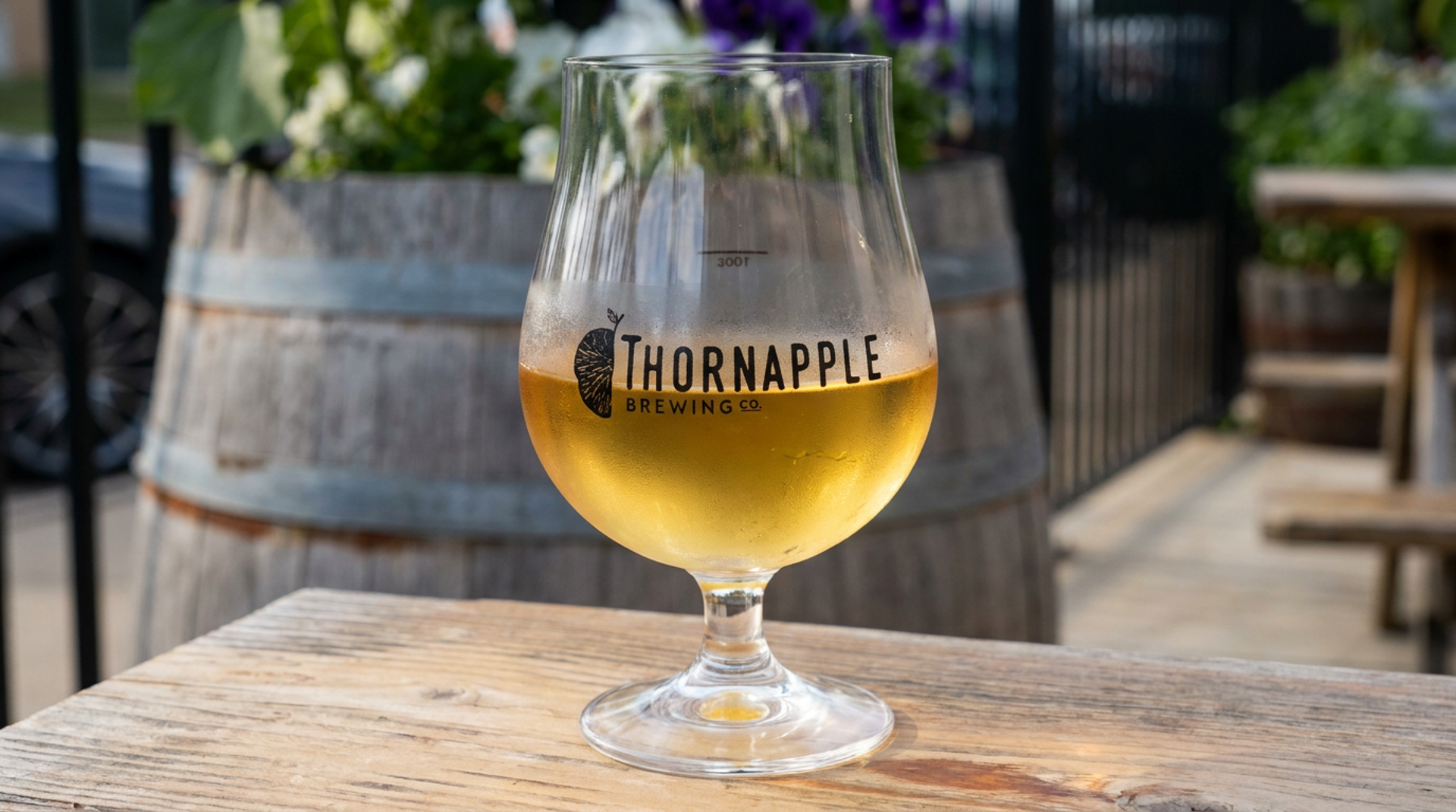 What's on at Thornapple
